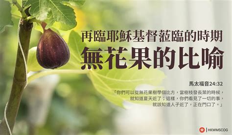 無花果樹 聖經|無花果 (Fig) 